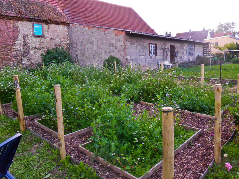 garten schrebergarten selbstversorger gemüsegarten gemüsebeet beet