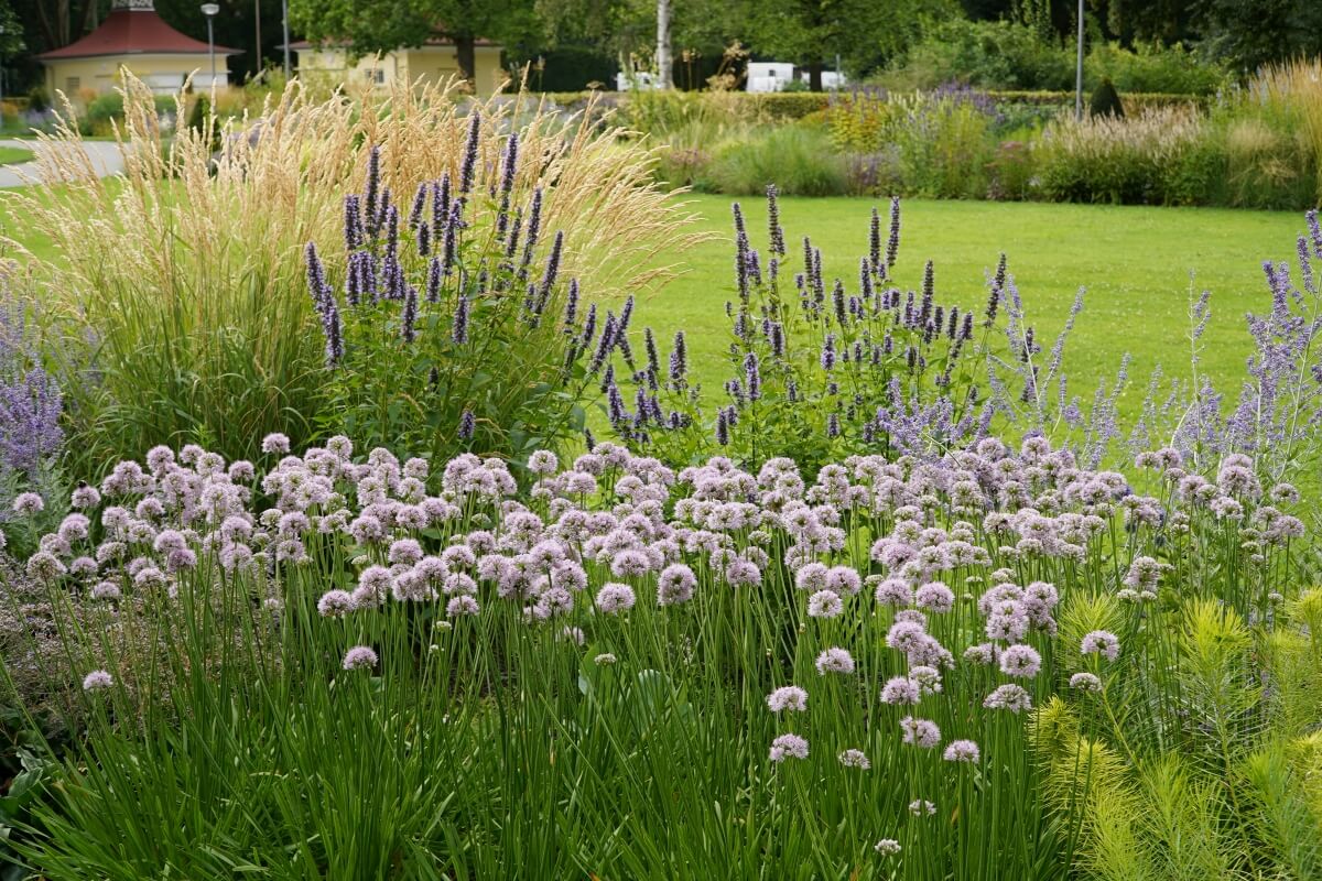 Wuchernde Farne und Ziergräser