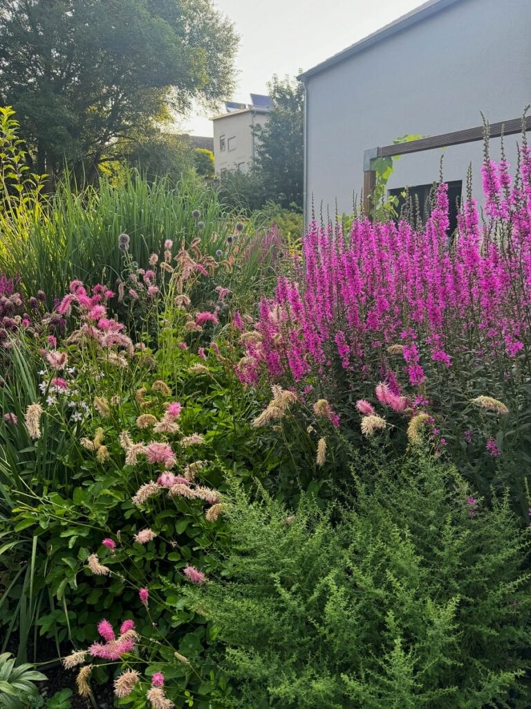 Kundenauftrag Pflanzplanung