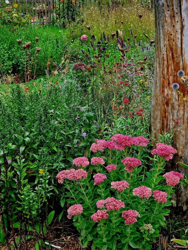 Gartenarbeit im September