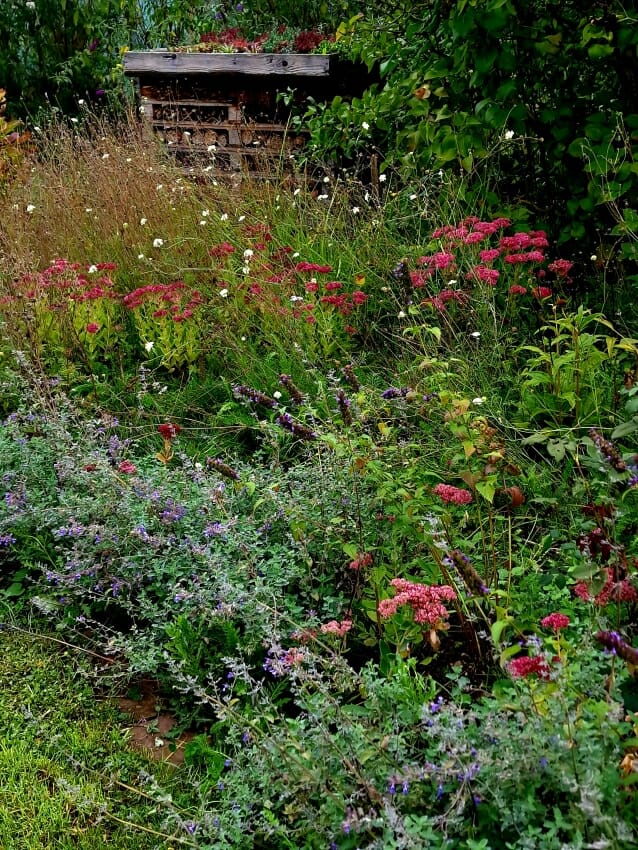 Gartenarbeit im September