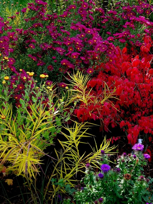 Gartenarbeit im Oktober