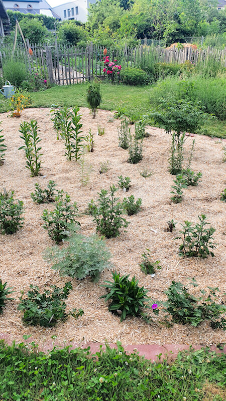 Einen bunten Garten im Herbst; idealer Pflanzabstand