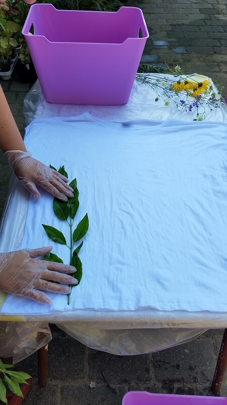 Mit Pflanzen drucken