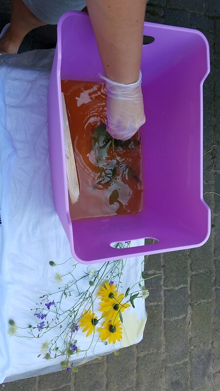 Mit Pflanzen drucken