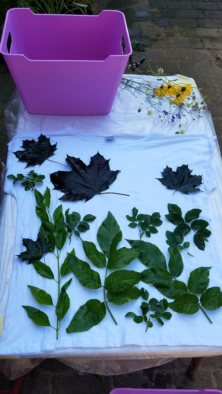 Mit Pflanzen drucken