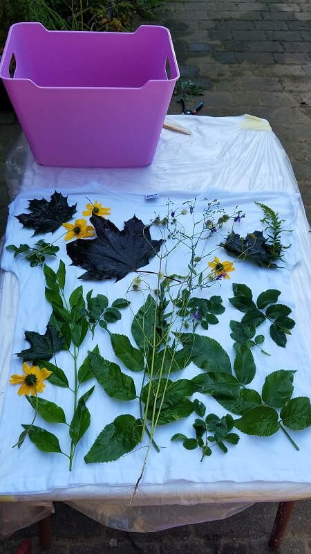 Mit Pflanzen drucken