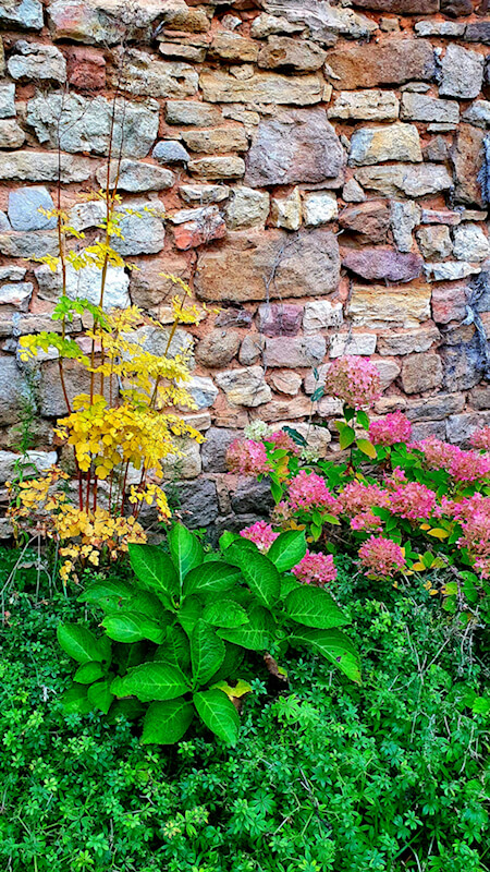 Einen bunten Garten im Herbst