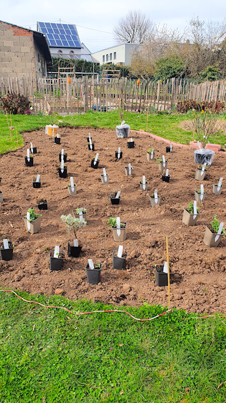 Baustelle idealer Pflanzabstand