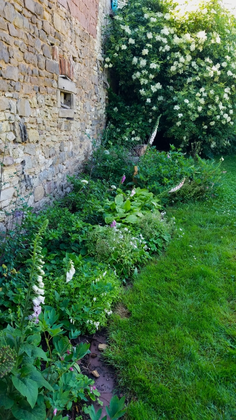 Schattenbeet gestalten