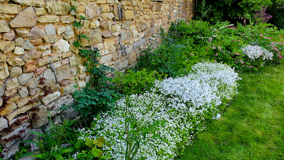 Lebensbereiche der Stauden