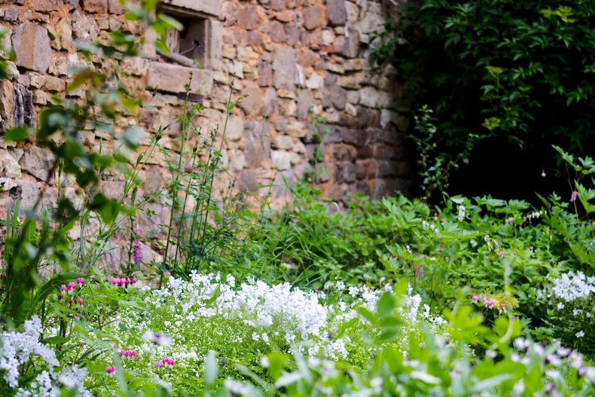 Schattenbeet gestalten