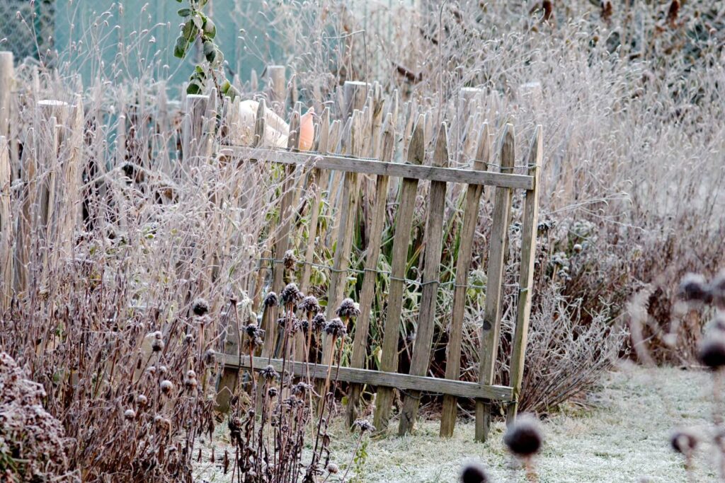 Gartenarbeit im Dezember