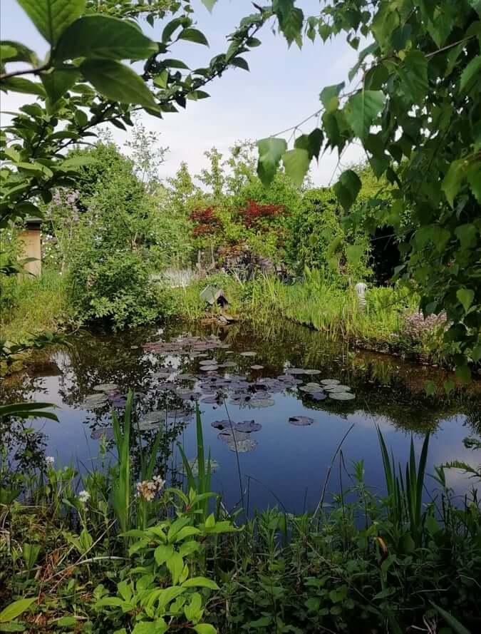 Marion - schönste Garten