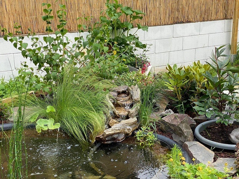 Schönste Gärten - Moni