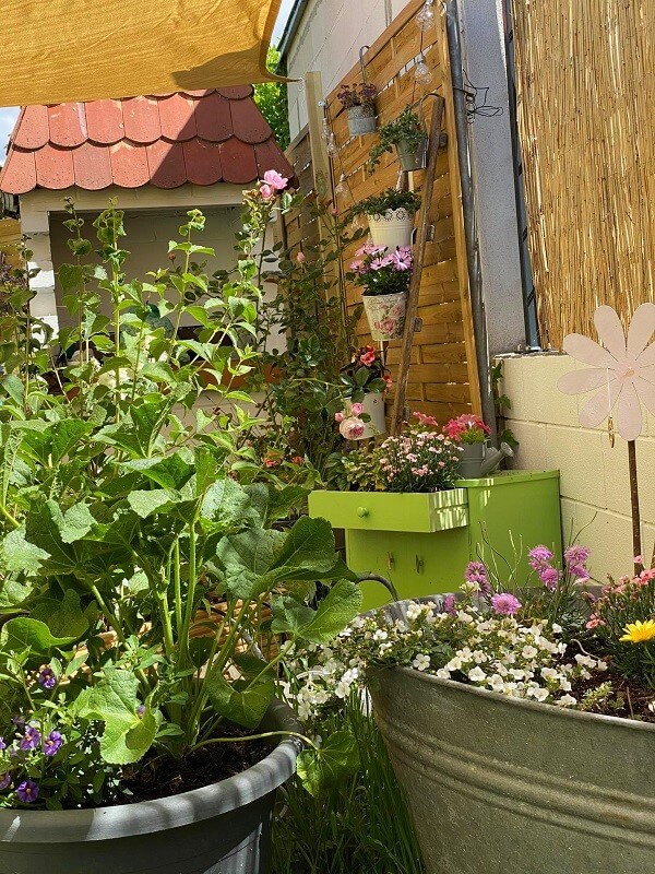 Schönste Gärten - Moni