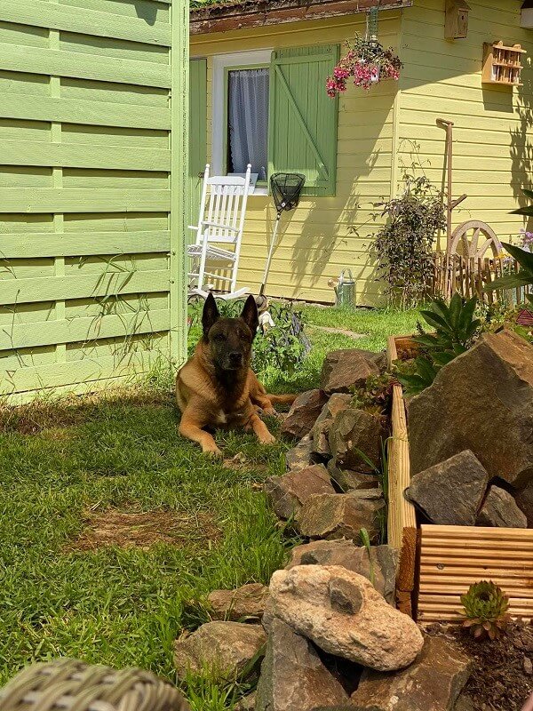 Schönste Gärten - Moni