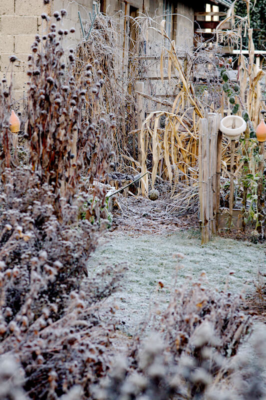 Gartenarbeit im Dezember