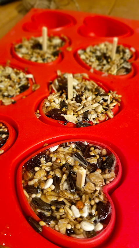 Mit Liebe gemachtes Vogelfutter