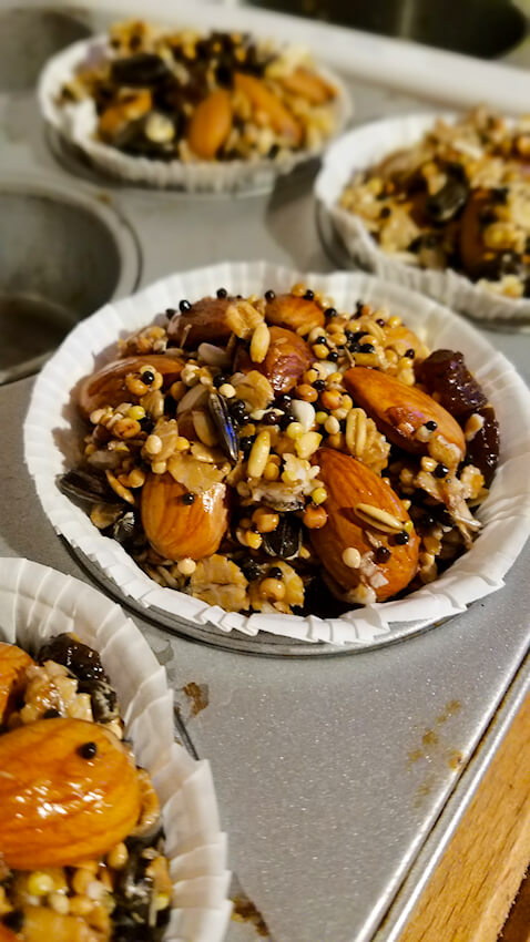 Vogelfutter in Muffinbackform