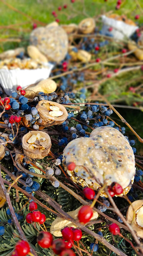 Vogelfutter selber machen