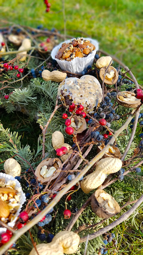 Vogelfutter selber machen