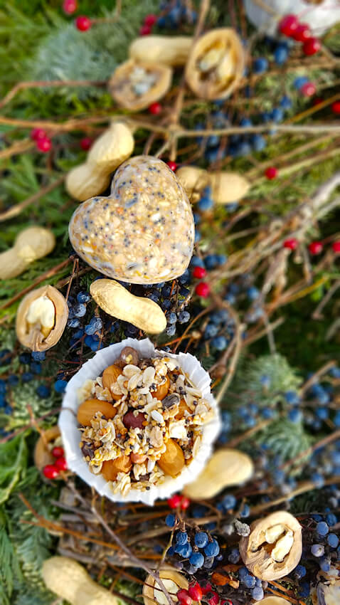 Vogelfutter selber machen