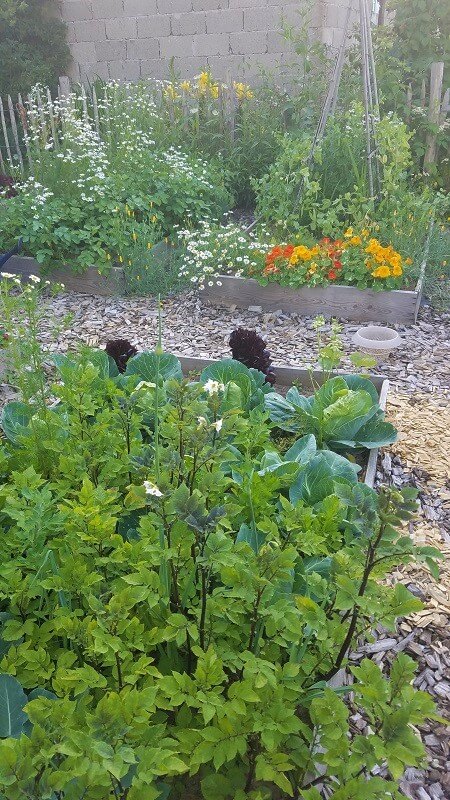 Bauerngarten anlegen