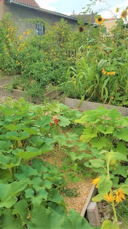 Bauerngarten anlegen