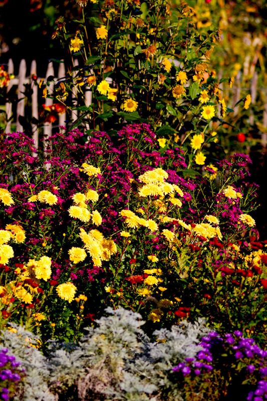 Einen bunten Garten im Herbst