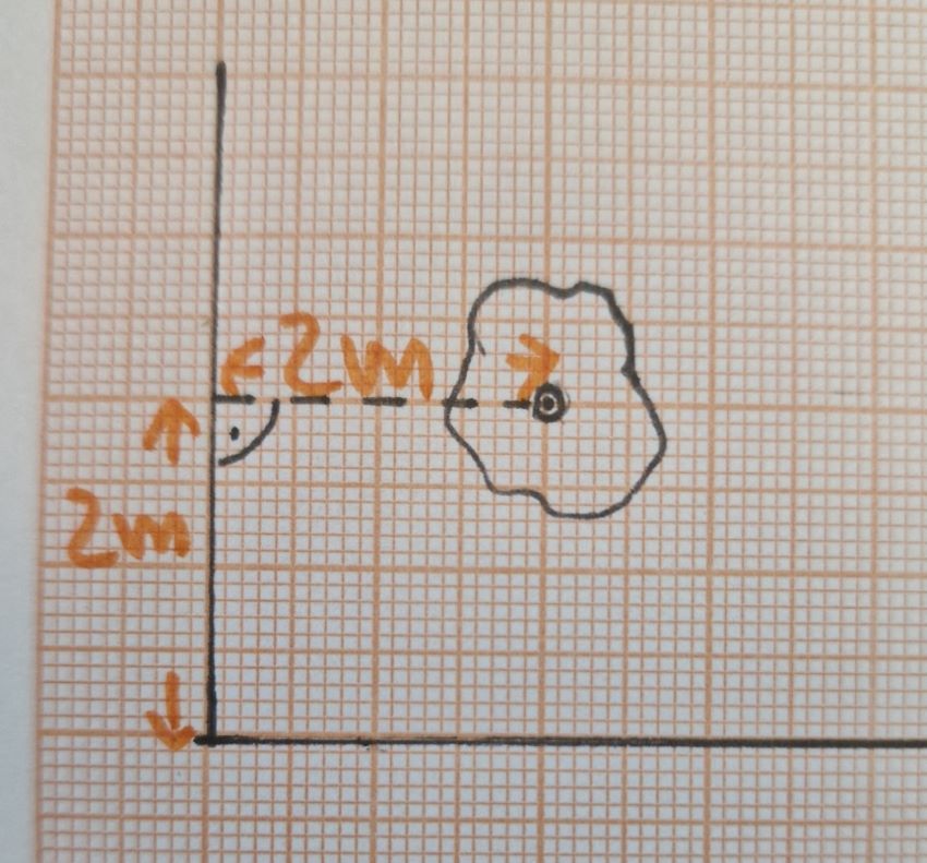 Standortbedingungen im Garten Baum richtig einmessen