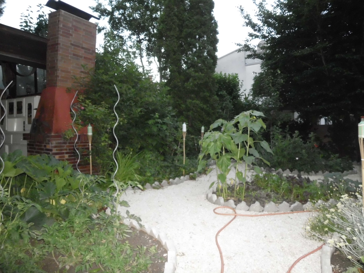 Mein erster Garten
