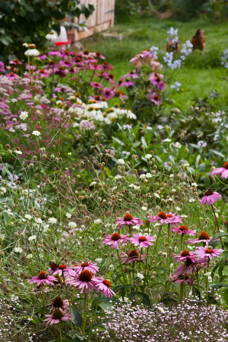 Gartenplaner werden
