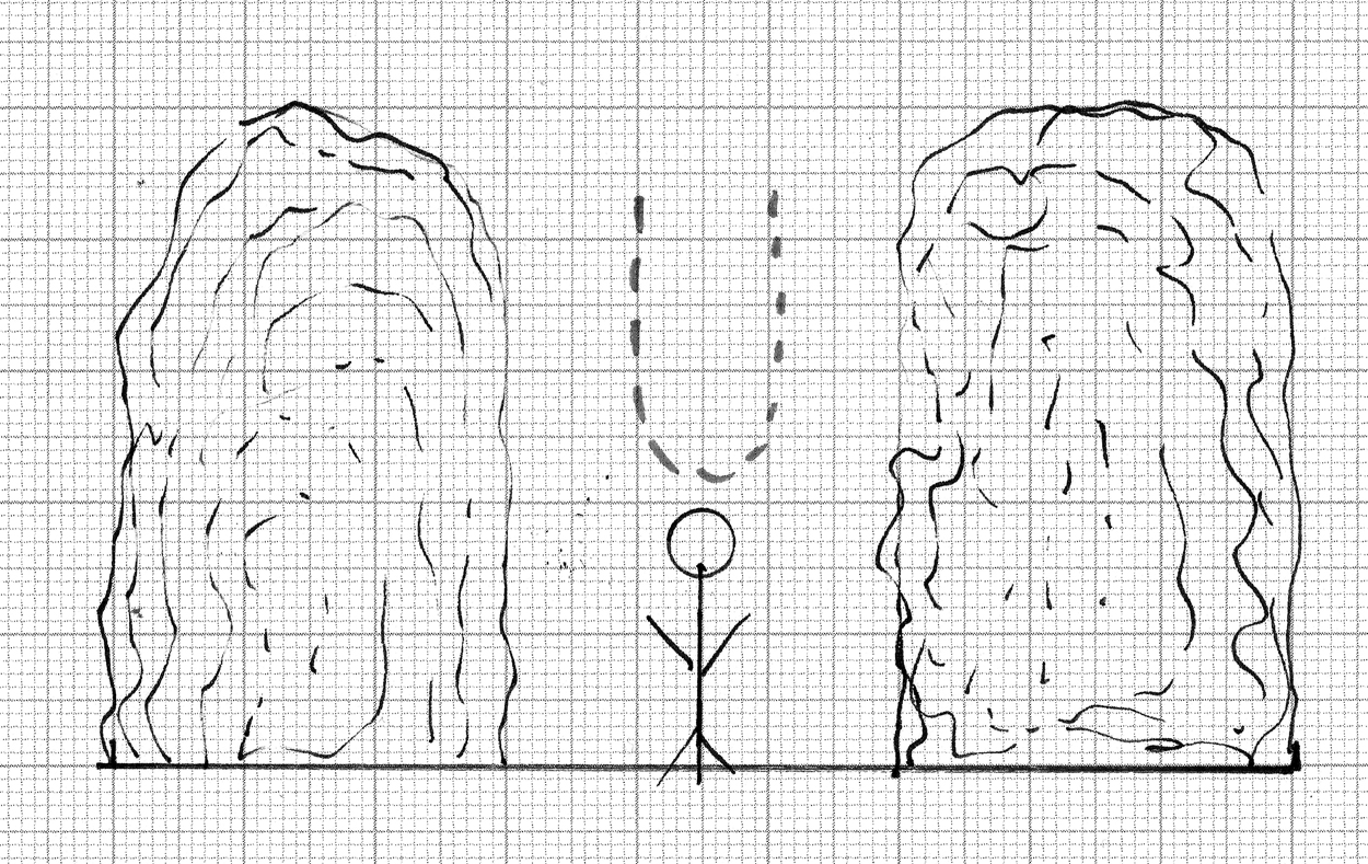 Garten mit Gehölzen gestalten